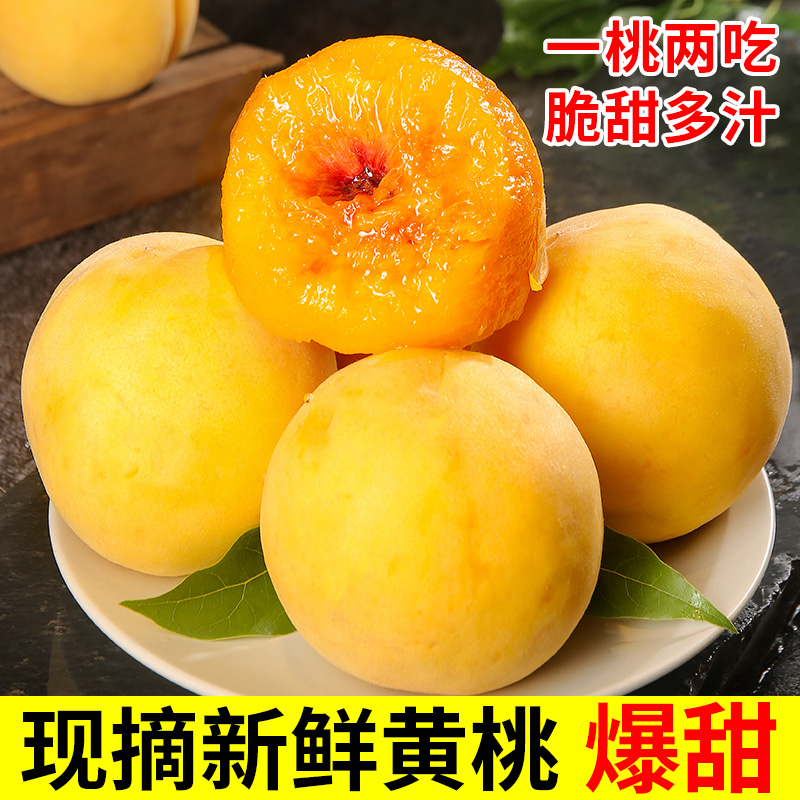 现摘新鲜黄桃天然果园产地直发