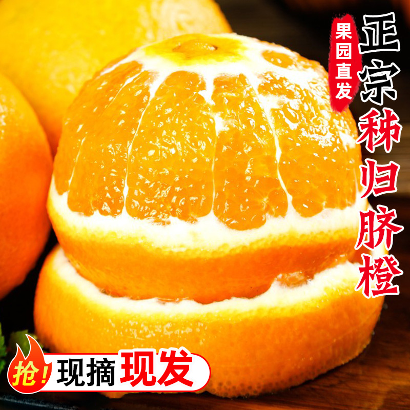 正宗伦晚脐橙新鲜水果冰糖果冻手剥甜橙大果整箱包邮当季春橙9斤
