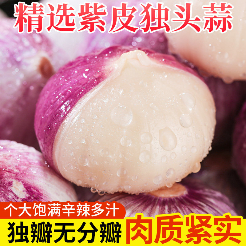 紫皮大蒜独头蒜现挖现发