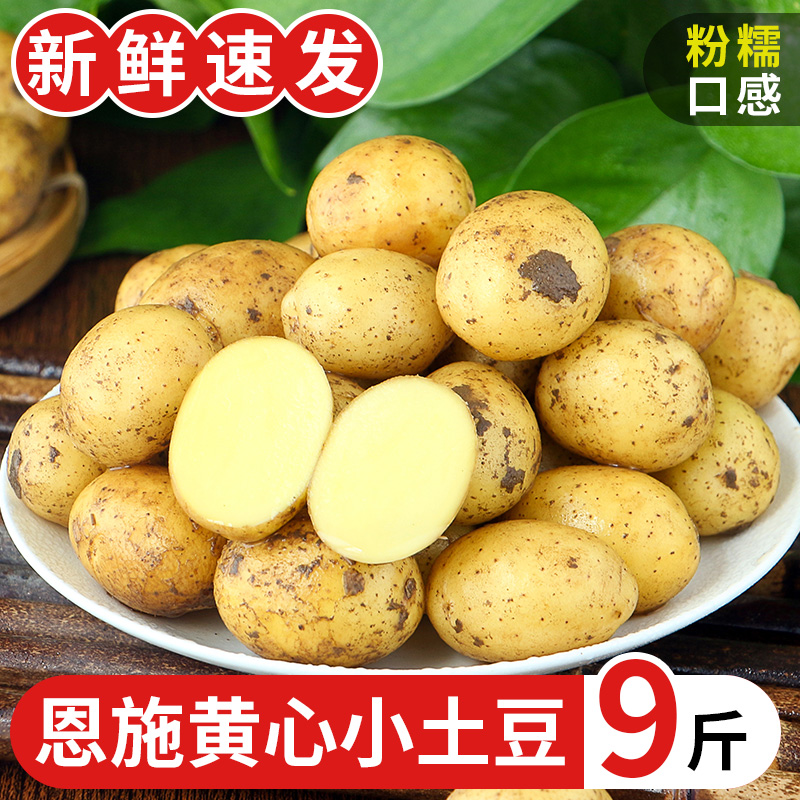 新鲜恩施小土豆【整箱】