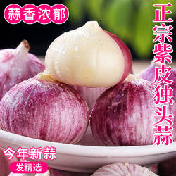 独头蒜云南大理紫皮大蒜湿蒜5斤大果大蒜头10新鲜干新蒜蒜米包邮