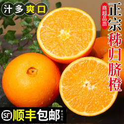 正宗秭归脐橙顺丰包邮新鲜时令应季水果整箱赣爱南媛冰糖果冻橙子