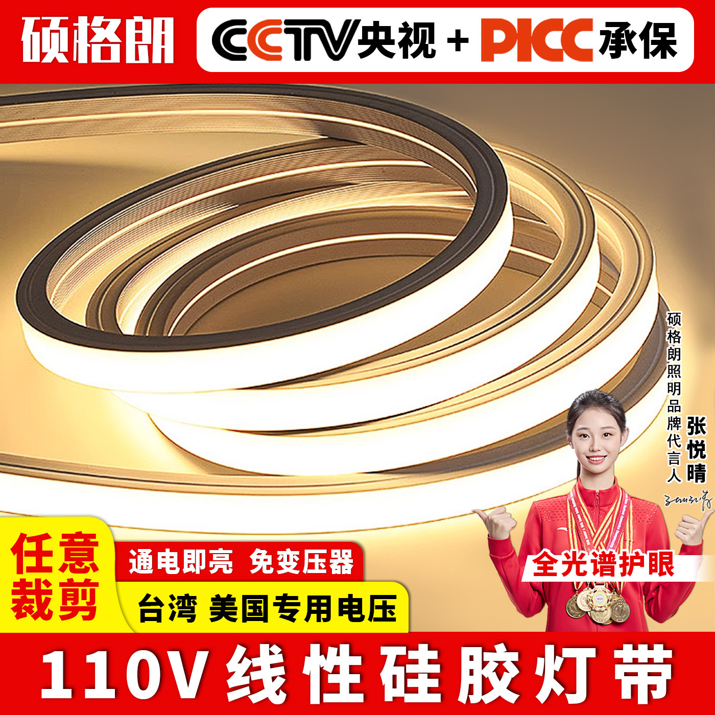 110V硅胶灯带台湾 美国led柔性软灯条户外防水线条灯嵌入式线形灯