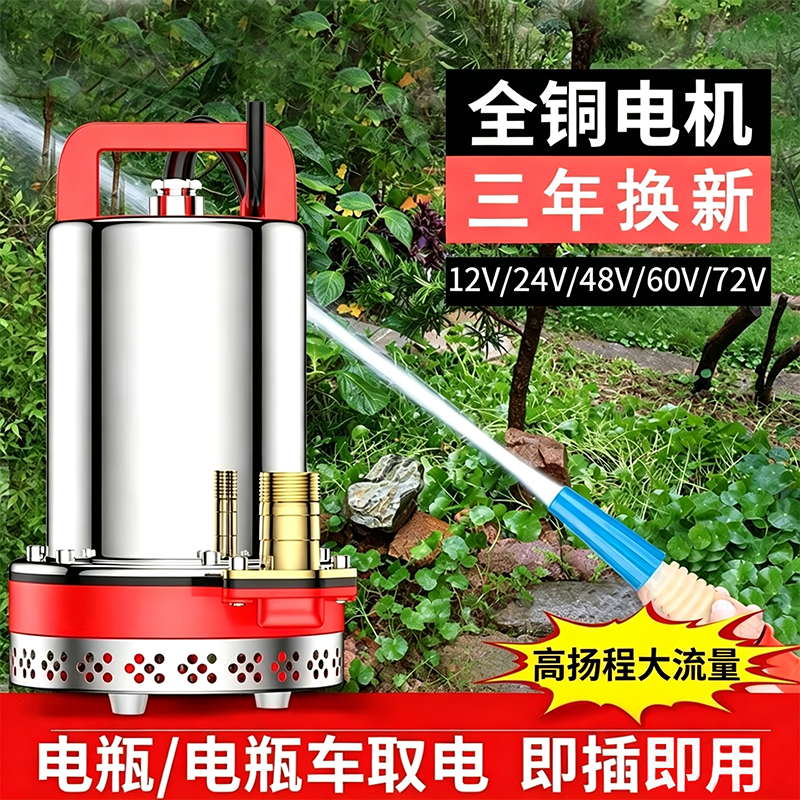 电动电瓶车专用12V48V60V72V潜水泵家用农用浇菜自吸小型抽水泵机