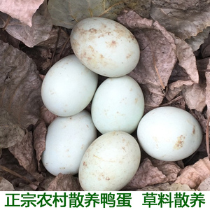 土鸭蛋农家散养新鲜湖北野外