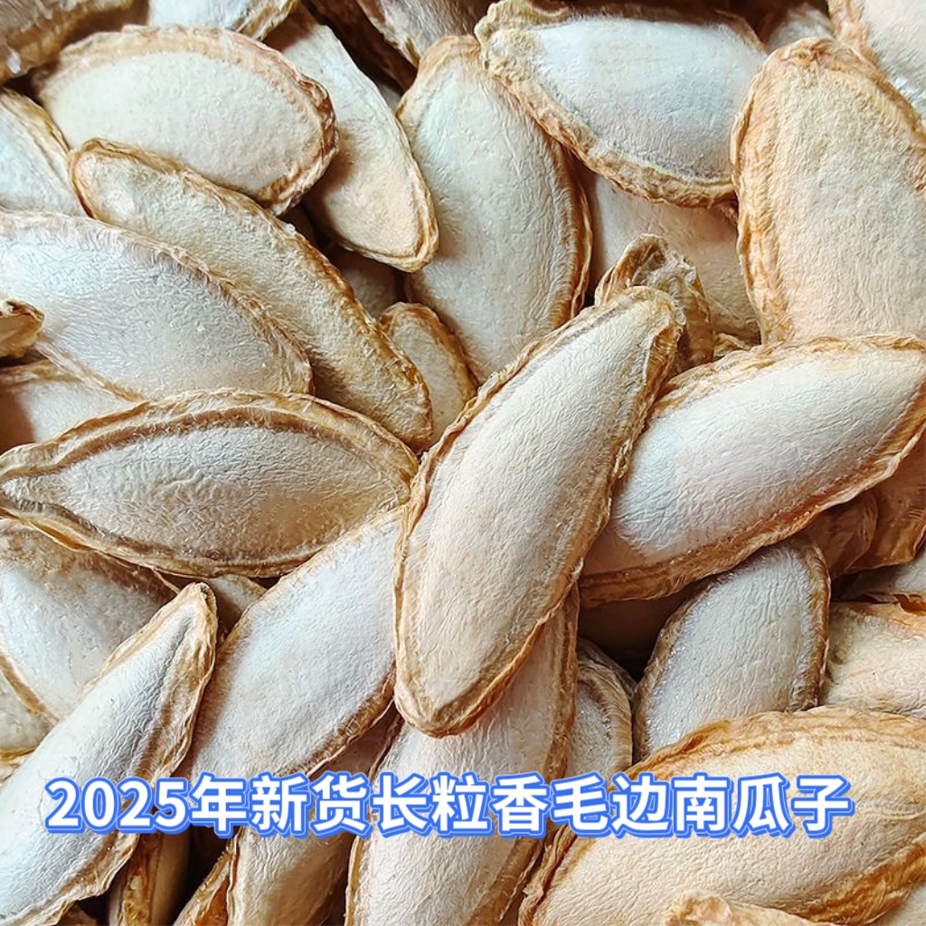 贵州新鲜生毛边南瓜子长粒香农家自产老品种毛边手工挑选颗粒饱满