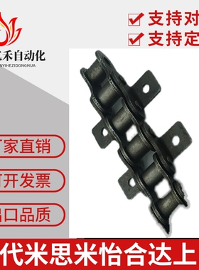 CHEL/CHET40A/40B/40C-50A/50B/50C-60A/60B/60C-80A/80B/80C链条