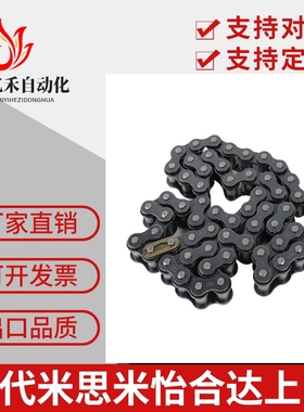 CHEEC链条 CHEED/CHE11/CHE15/CHES25/35/40/50/60/100/80/120