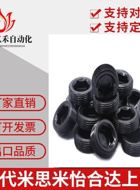 喉塞/闷头堵头/内六角螺塞MSWT/MSWTK/MSWTS1