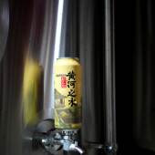 加量不加价500毫升5大罐黄河之水烈性浑浊IPA或不凡HOPFAN鲜啤酒