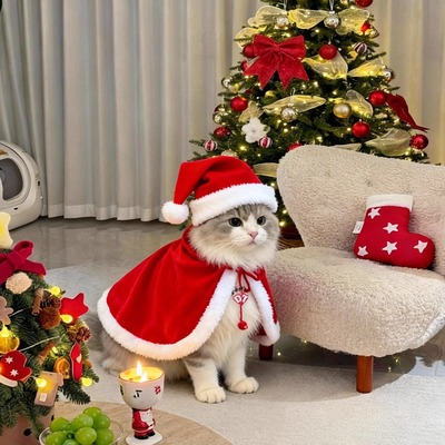 猫咪衣服冬装加厚保暖圣诞节披风斗篷宠物专用拍照道具2025新款
