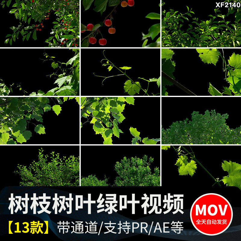 树枝树叶绿叶风中绿藤摇摆动pr/ae遮罩MOV带透明通道动态视频素材
