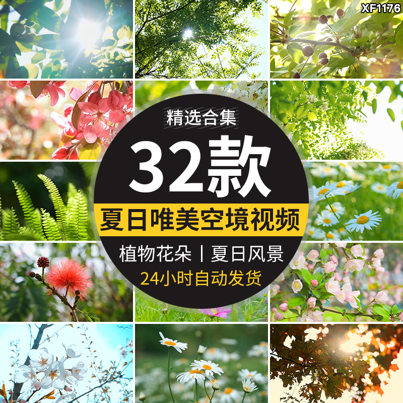 夏日风景阳光透穿过绿叶唯美自然空境头植物花朵春暖花开视频素材