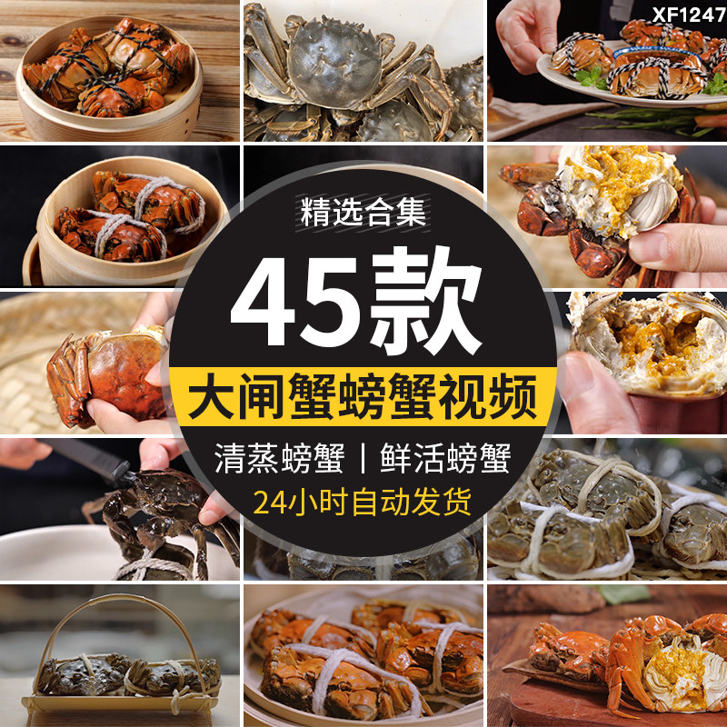 秋季大闸蟹实拍清蒸烹饪新鲜活螃蟹掰开蟹膏蟹黄水产美食视频素材