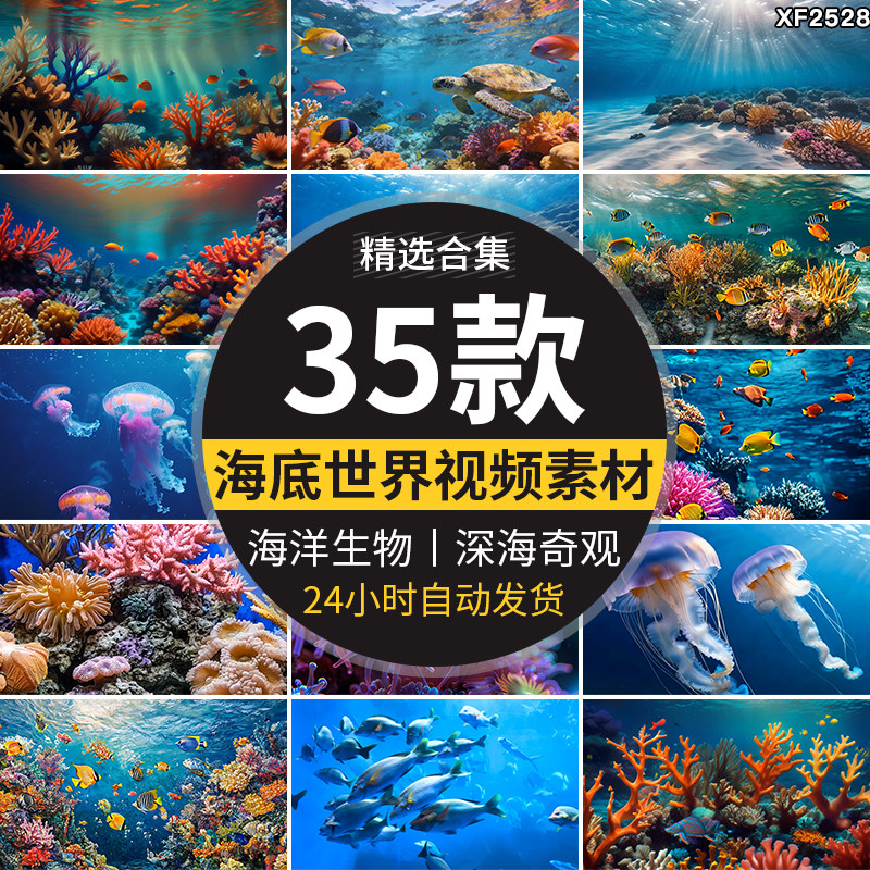 海洋世界海底世界生物深海奇观蓝色海洋珊瑚鱼群鱼儿水母视频素材