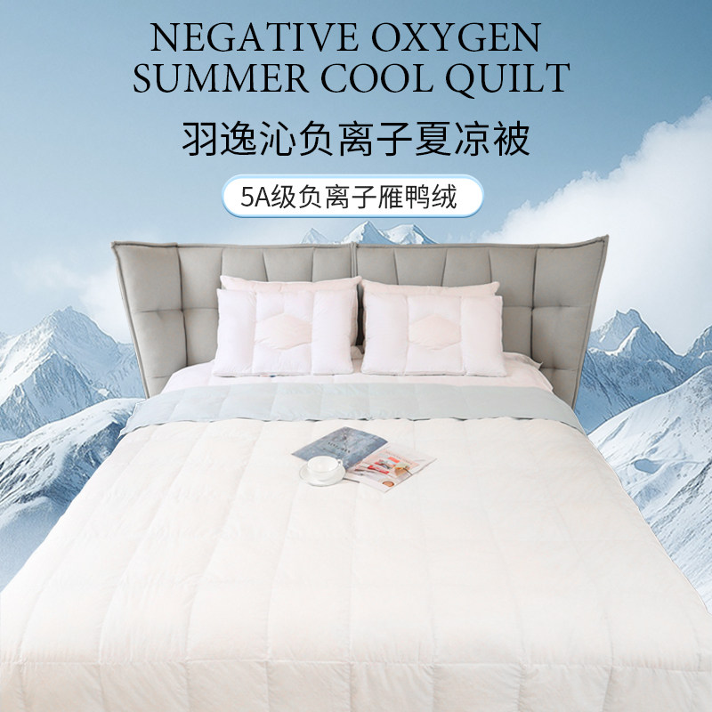 北天鹅定制款羽逸沁爽雁鸭绒发泡夏凉被空调夏季薄款透气水洗被芯