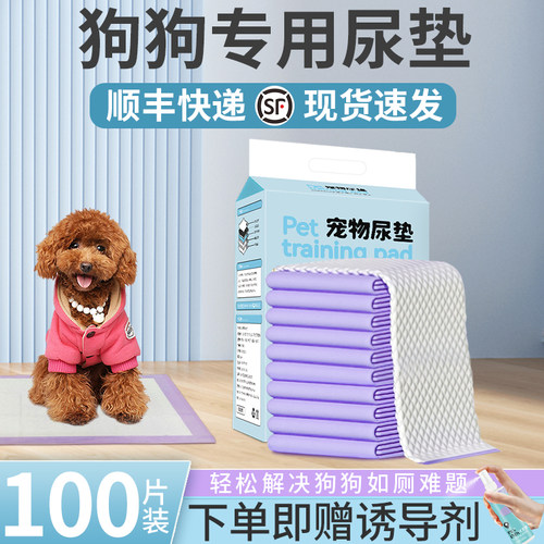 狗狗尿垫加厚除臭吸水隔尿垫幼犬诱导小狗定点排便引导上厕所神器 - 封面