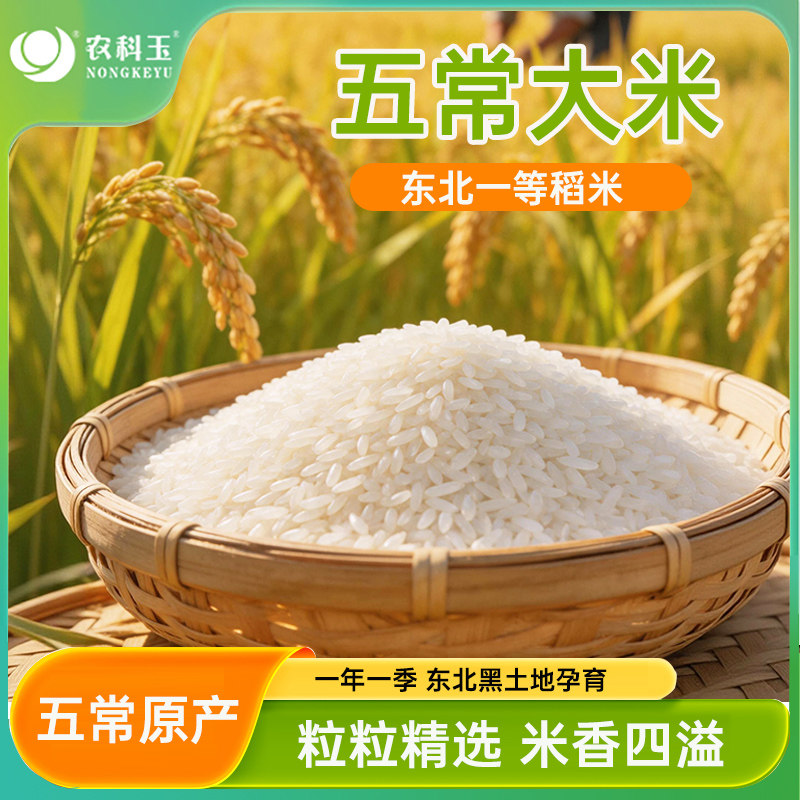 农科玉 五常大米东北平原稻米 米粒饱满软糯香甜唇齿留香米粒剔透