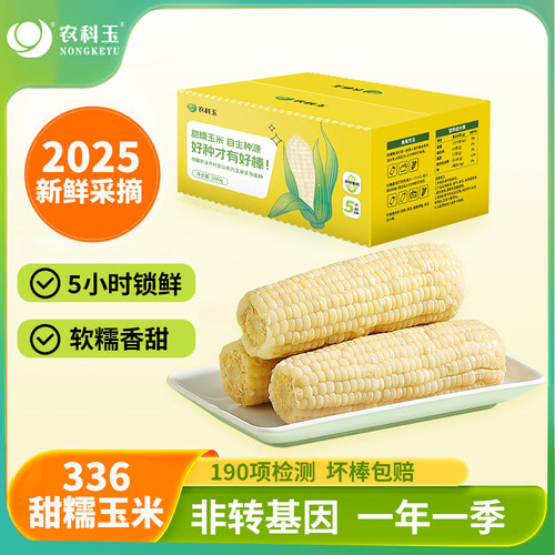 东北粘玉米甜糯玉米农科玉糯