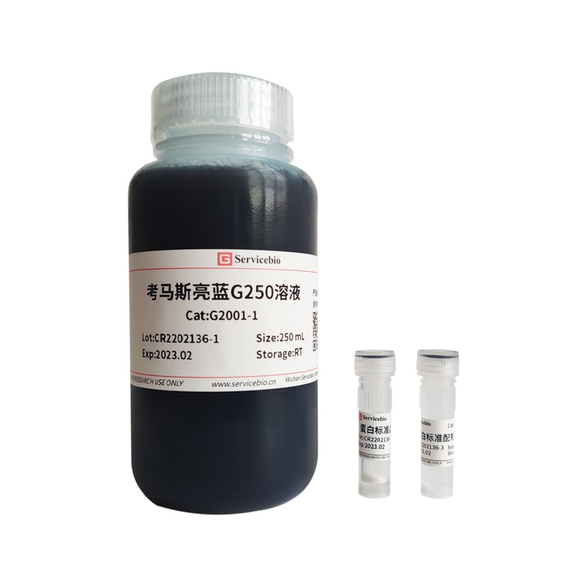 Servicebio 考马斯亮蓝与蛋白结合 Bradford法蛋白定量检测试剂盒