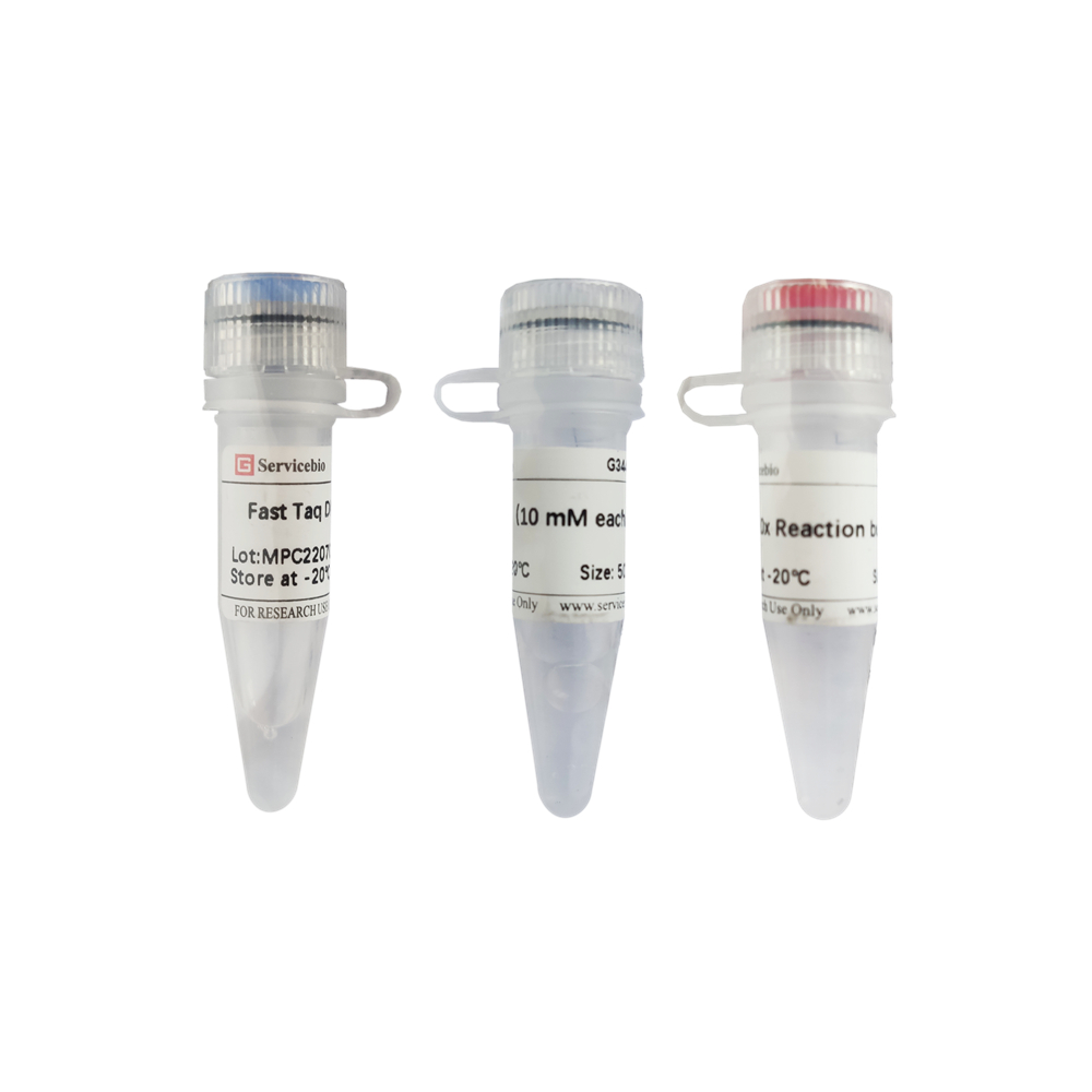 Servicebio快速Taq DNA聚合酶FastTaqDNA polymerase,G3442-1000U