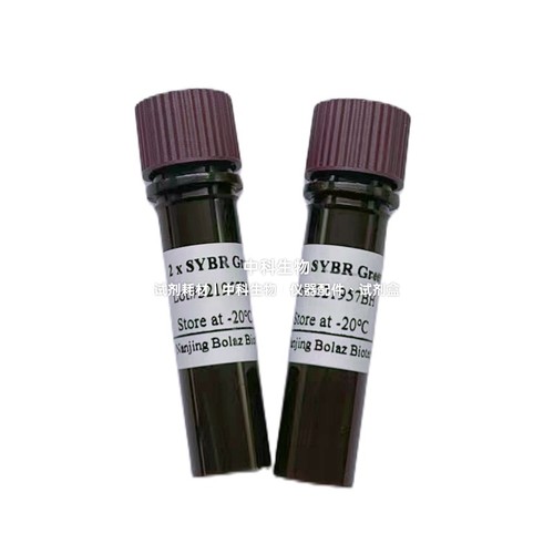 BOLAZ 2×SYBR Green qPCR混合液 用于SYBR Green I嵌合荧光rqPCR