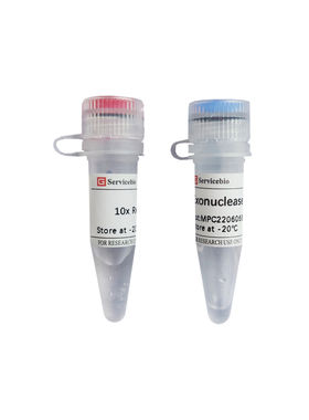Servicebio核酸外切酶III(E.coli ),Exonuclease III,G3465-5000U