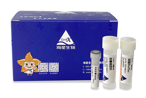 海星HyCyte™细胞胶囊试剂盒 细胞常温运输技术 保持细胞高活性