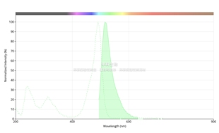 Cell 美国AAT Navigator 标记试剂盒绿色荧光 肌动蛋白 Actin