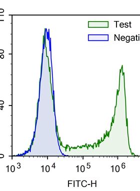 Elabscience  E-Click EdU细胞增殖流式检测试剂盒（绿色，FITC）