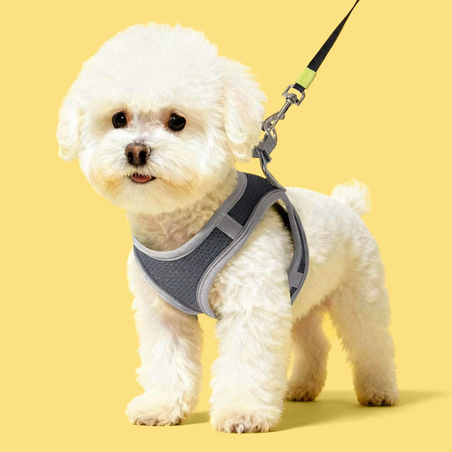 狗狗牵引绳中小型犬狗绳子幼犬遛狗绳背心式泰迪宠物胸背带反光