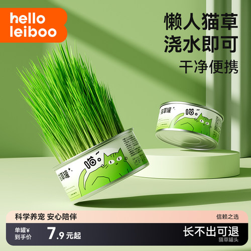 【浇水即可】懒人猫草盆栽水培盆