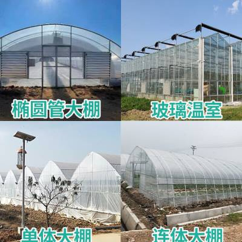 智能农业外遮阳花卉连体连栋温室大棚蔬菜养殖热镀锌大棚钢管骨架