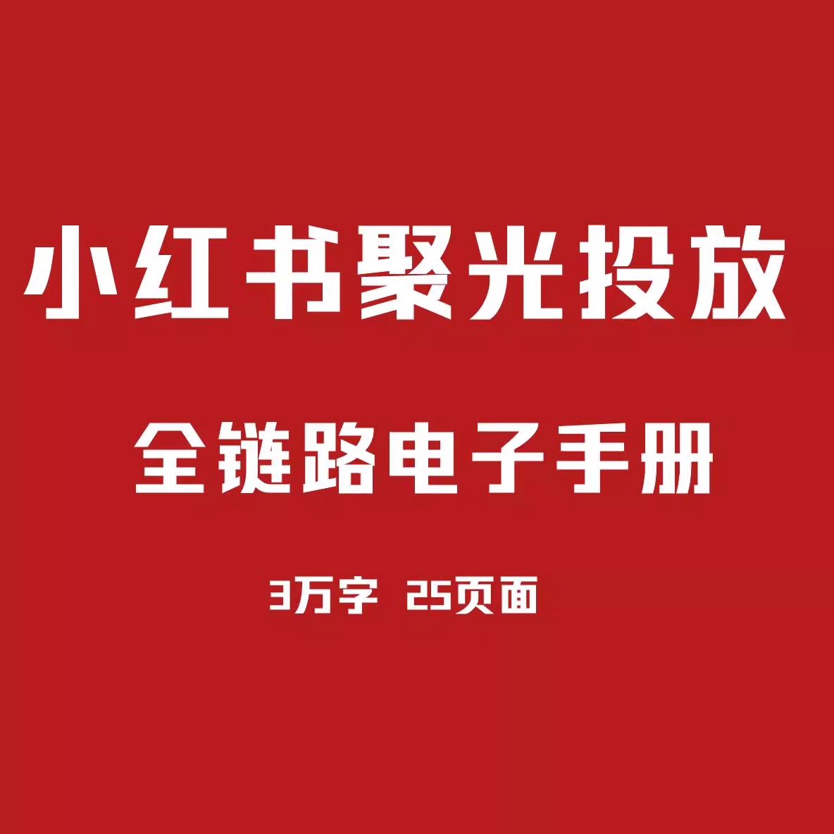 2025 小红书聚光投放教程  从0到100万消耗的全链路实操 3万字