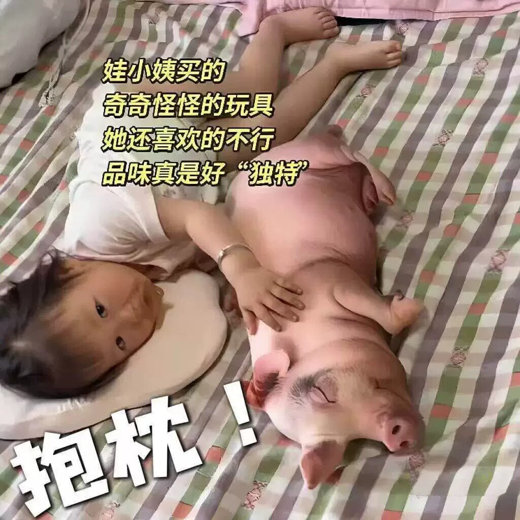彷真猪抱枕立体柔软逼真小猪玩偶客厅沙发靠枕儿童半睡娃娃小公仔