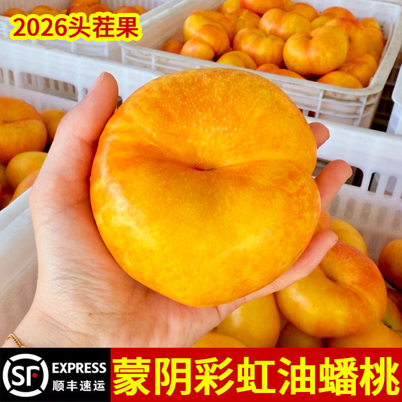 黄金油蟠桃新鲜水果整箱当季山东蒙阴黄桃彩虹黄蟠桃孕妇扁桃子