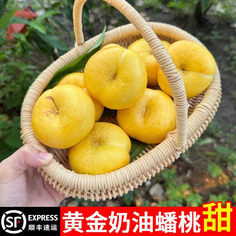 黄金奶油蟠桃新鲜水果整箱当季蒙阴油蟠桃山东桃子孕妇水果扁潘桃