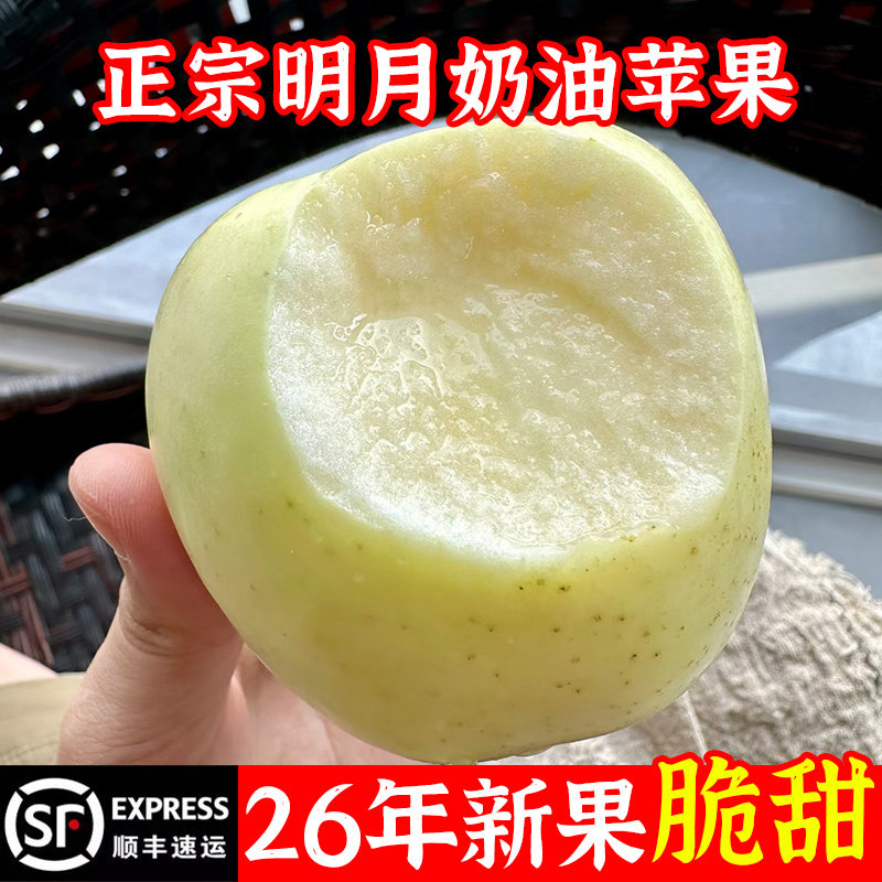 正宗明月奶油苹果新鲜水果当季整箱脆甜多汁应季山东孕妇水果生鲜