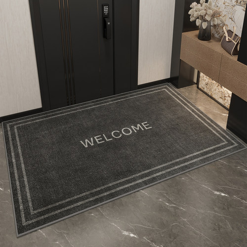 宾喜入户门地垫可擦免洗
