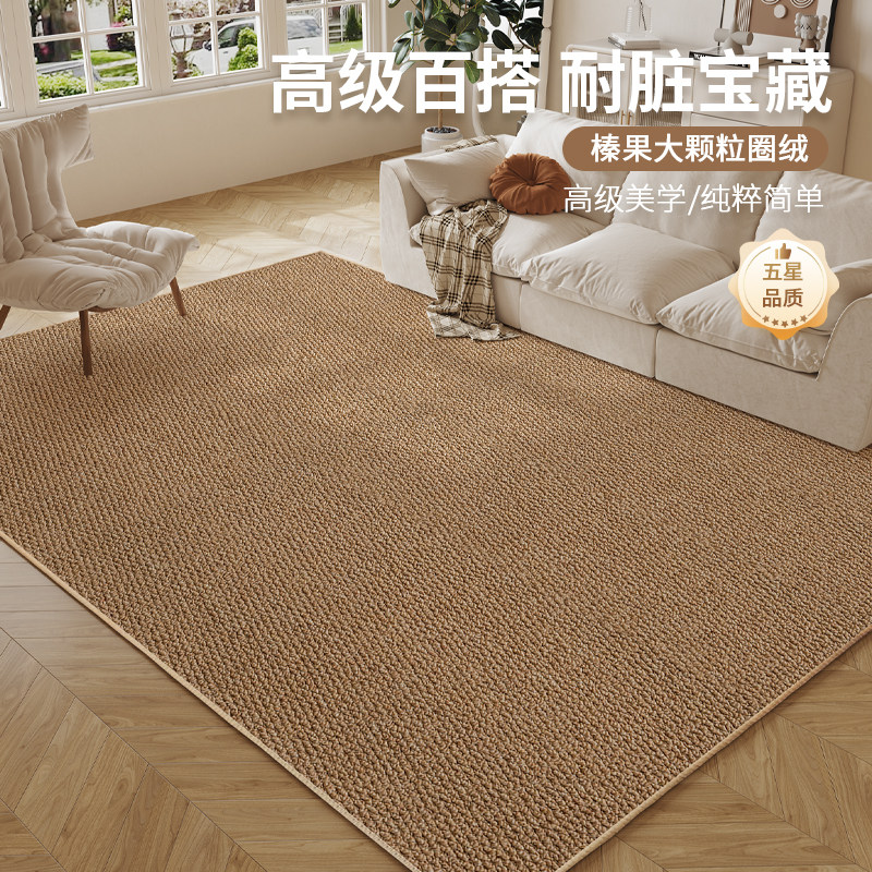 日式茶室地毯客厅2025新款摄影棚沙发卧室床边飘窗猫抓板地垫拍照