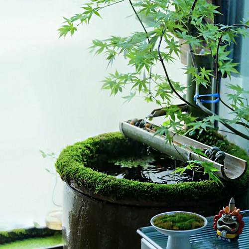 物喜一侘古法养鱼陶瓷生态鱼缸