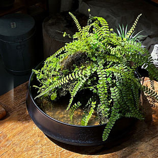 古法生态缸全套循环流水造景中古桌面意境冷水鱼水陆龟缸陶瓷鱼缸