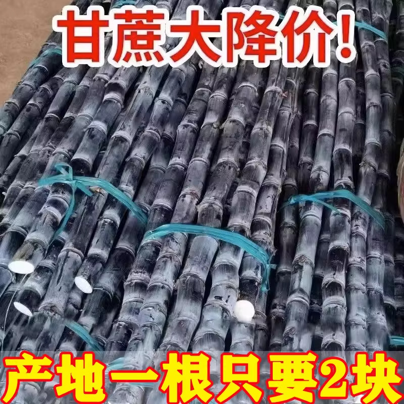 广西黑皮甘蔗9斤时令当季新鲜水果脆皮甘蔗特产脆甜榨汁整箱包邮
