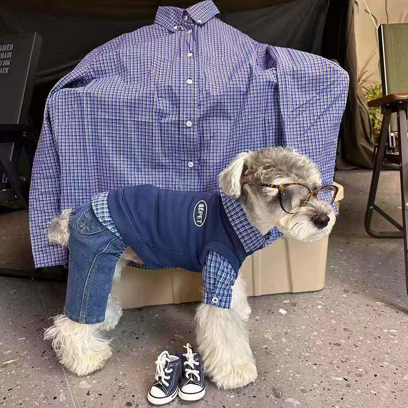 潮牌卫衣秋冬款小狗拼色可爱春秋天韩版超小宠物猫咪网红