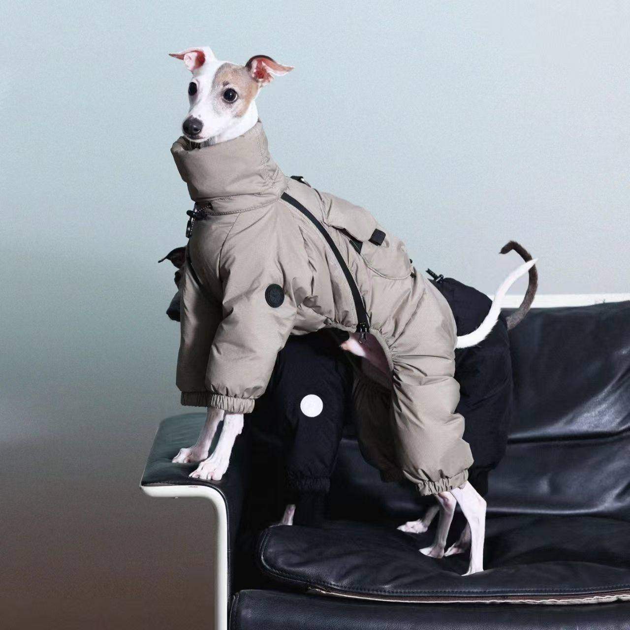 冬季中型犬灵提边牧高领棉衣宠物狗狗秋冬衣服保暖防风生态棉服