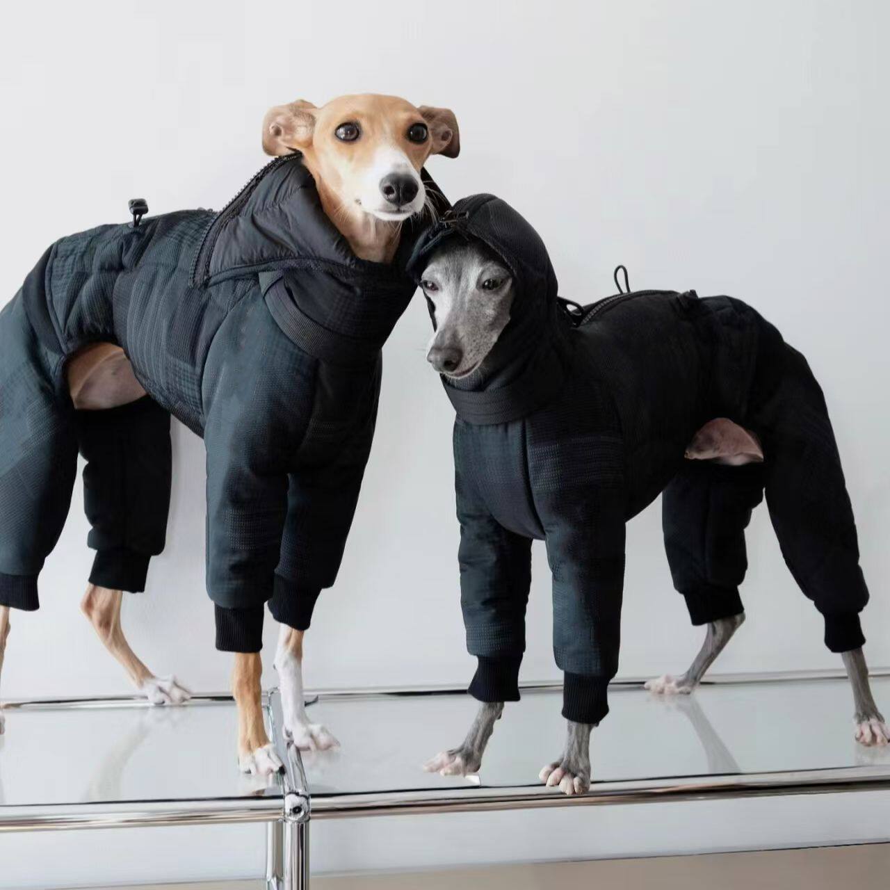 冬季中型犬灵提边牧高领棉衣宠物狗狗秋冬衣服保暖防风生态棉服