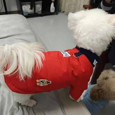 可牵引宠物棉服狗狗秋冬棉衣比熊博美约克夏小型犬冬季加厚衣服