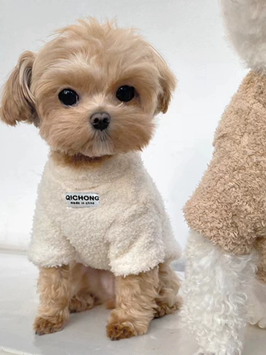 Собачья одежда осень и зимний модный жилет Шнаузер Тедди Бишон Медведь маленькая и средняя собачья теплый котенок одежда для щенка