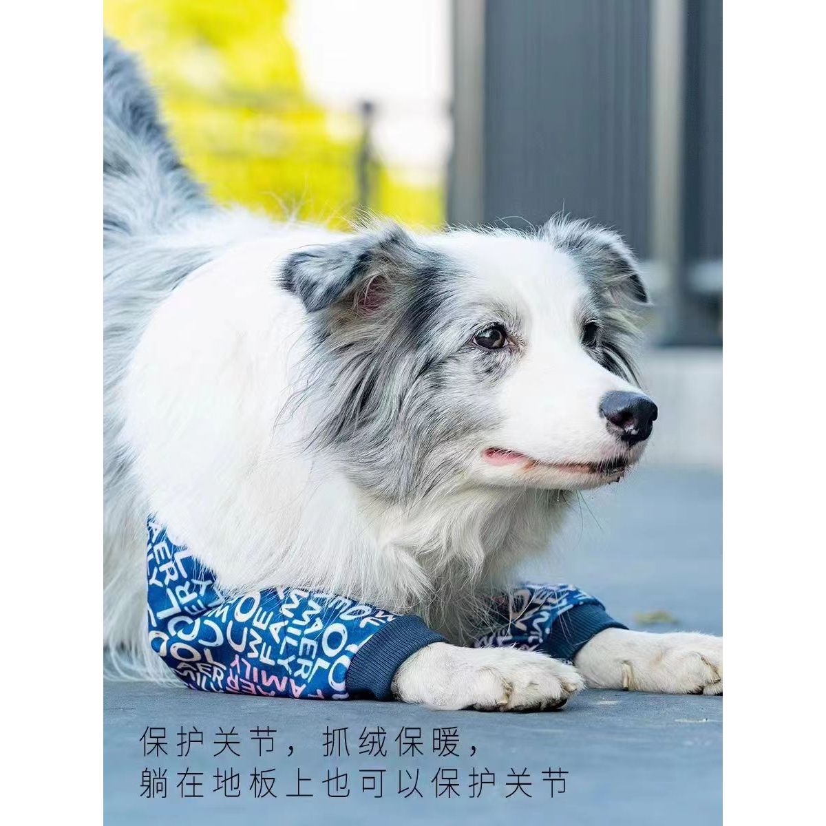 秋冬新款宠物护肘衣保护狗狗关节金毛拉布拉多边牧中大型犬护肘衣