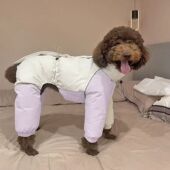 25年中型犬灵提惠比特高领棉衣宠物狗狗秋冬衣服保暖防风生态棉服